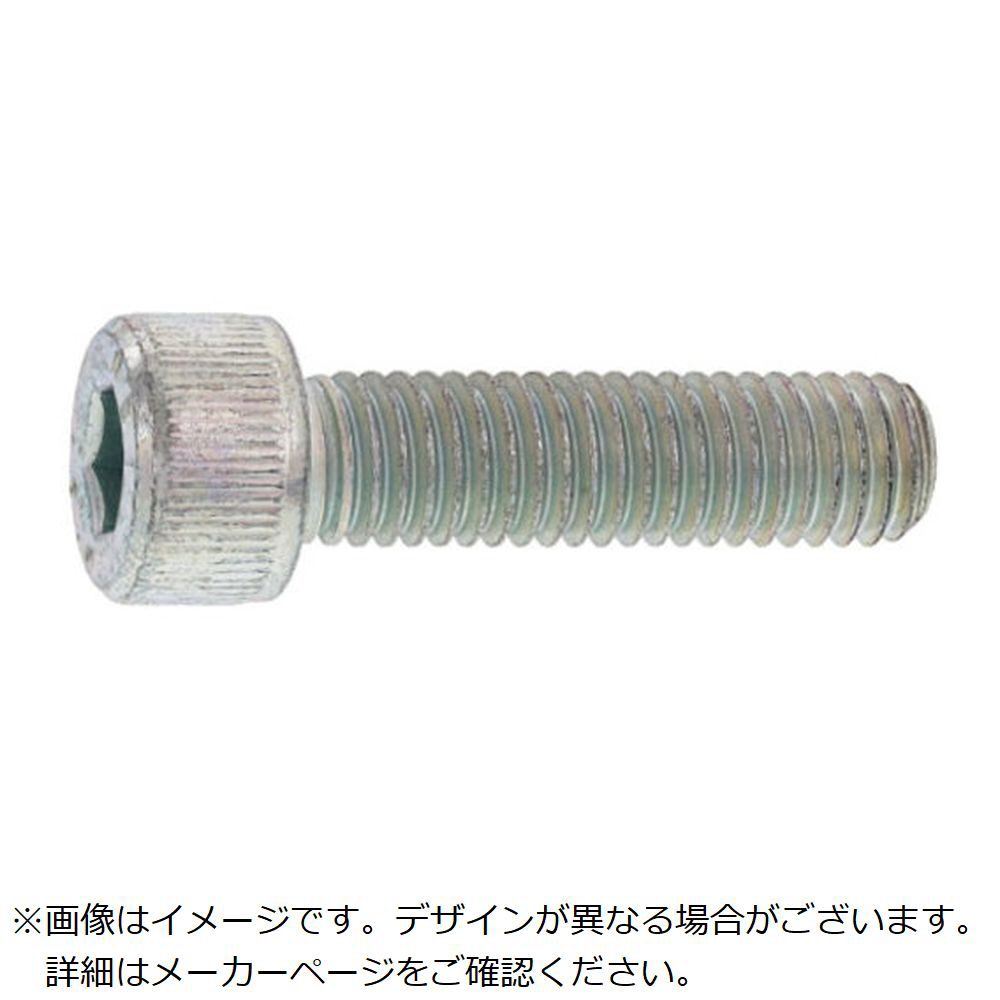 SUNCO ジオメット CAP 日本鋲螺 20 × 85 （12本入