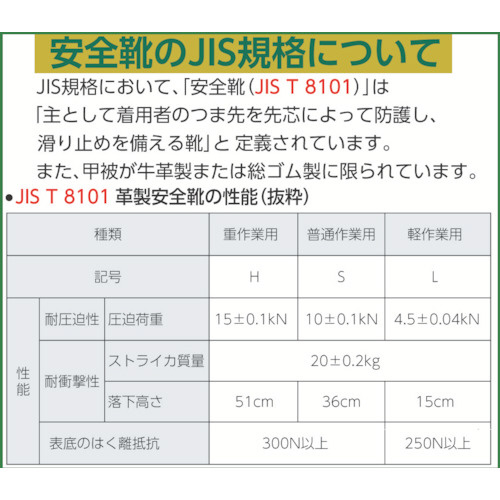 ミドリ安全 レザースニーカータイプ安全靴 BK 25.0cm