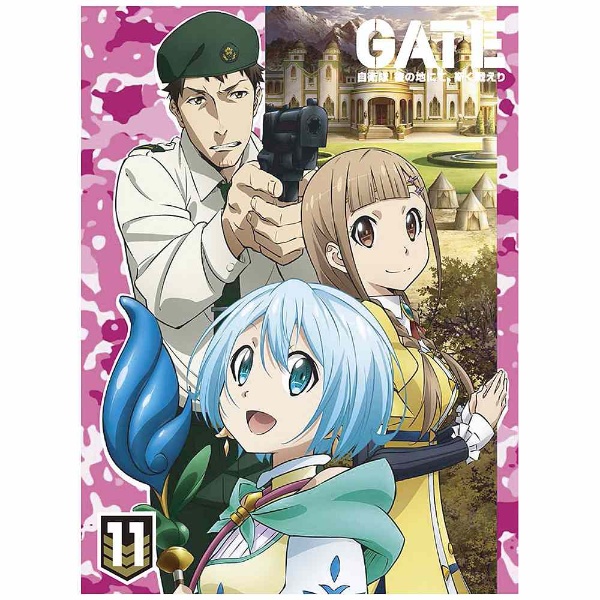 GATE 自衛隊 彼の地にて、斯く戦えり Vol．11 動乱編II 初回生産限定版 【DVD】 ［DVD］