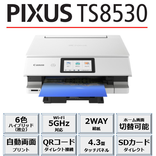 TS8530 インクジェット複合機 PIXUS ホワイト ［カード／名刺～A4］