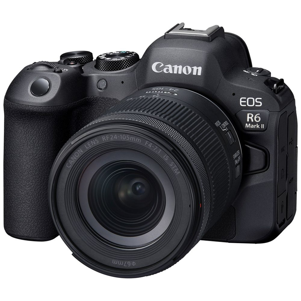 極美品　Canon EOS R6 Mark II
