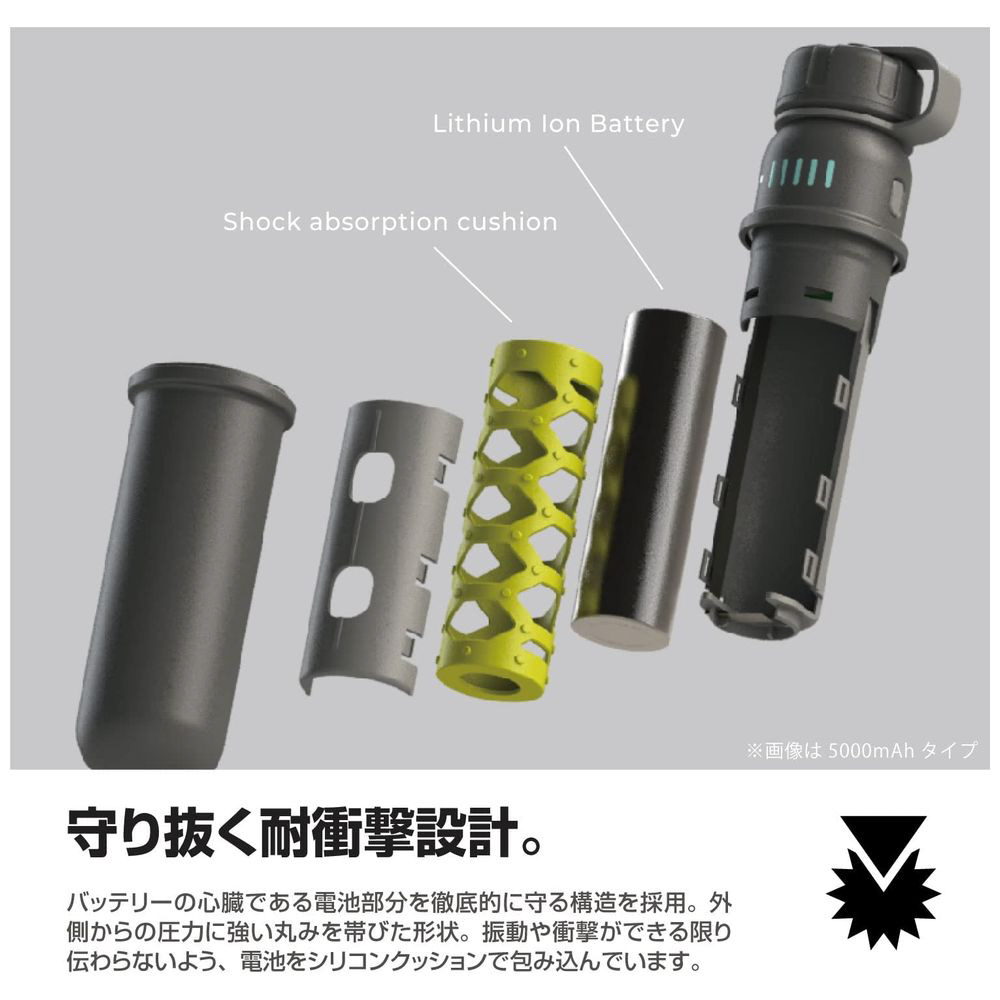 ボートレース x ReGLOSS オリジナルモバイルバッテリー 非売品 ボートレース x ReGLOSS オリジナルモバイルバッテリー 非売品