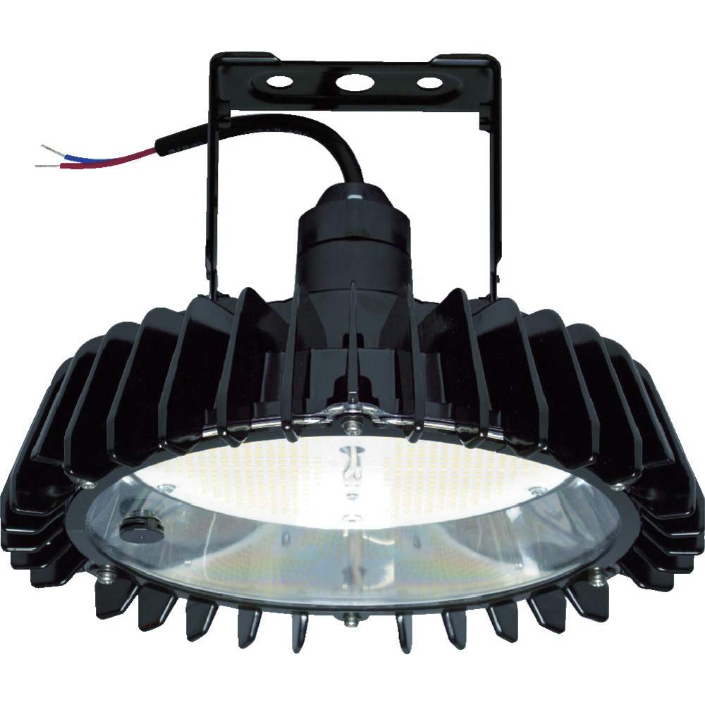 日立 高天井用LEDランプ アームタイプ 特殊環境対応 屋外形(塩害対応) ▽125-6860 RBME11AMNC1 1台