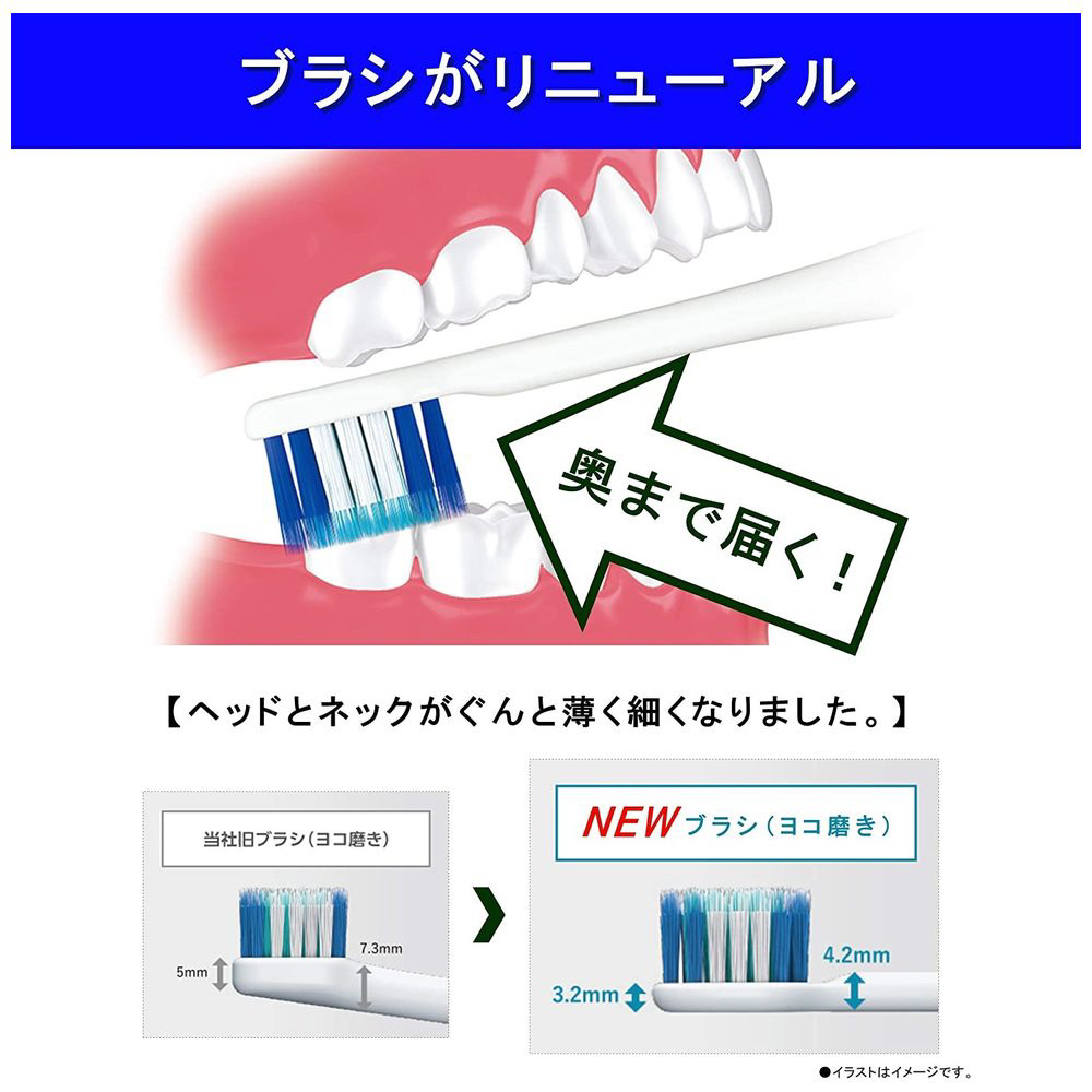 EW-DL36-P 電動歯ブラシ Doltz（ドルツ） ピンク [振動（バス