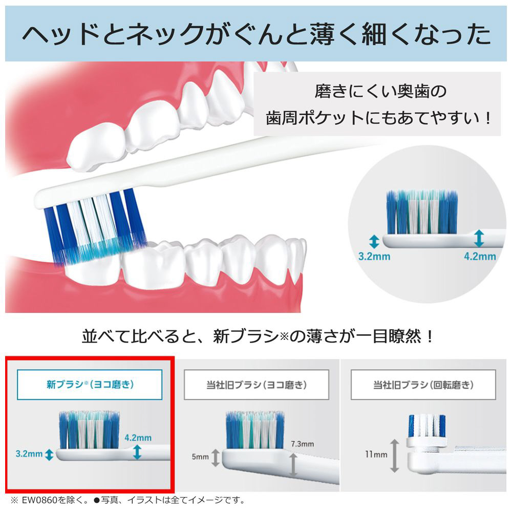 ドルツ専用 極細毛ブラシ ラージ Doltz(ドルツ) 黒 EW0801-K ［2本入