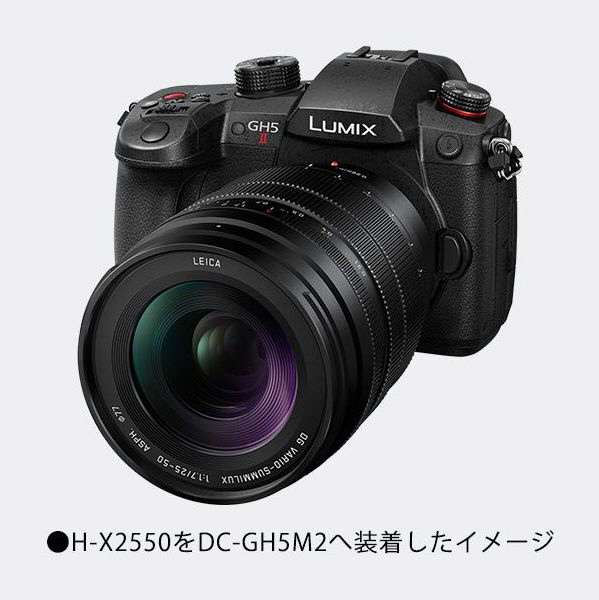 海外 Panasonic パナソニック LEICA DG VARIO-SUMMILUX 25-50mm F1.7 ASPH. H-X2550 レンズ 