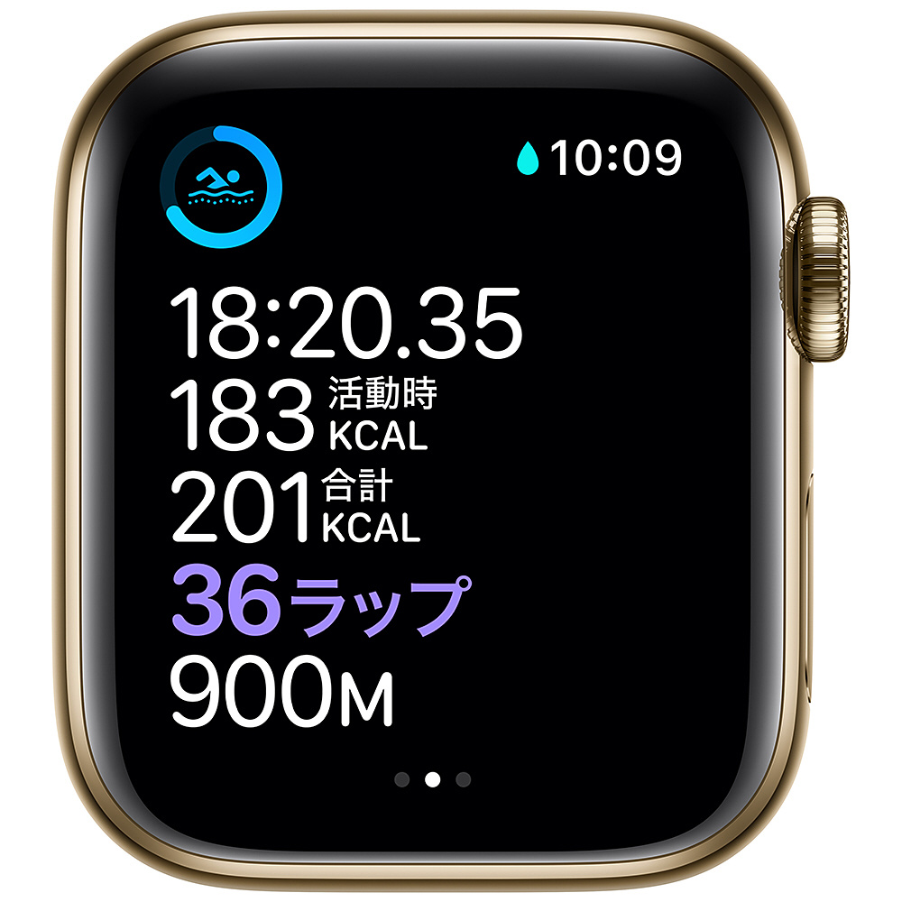 Apple Watch Series 6（GPS + Cellularモデル）- 40mmゴールドステンレススチールケースとゴールドミラネーゼループ