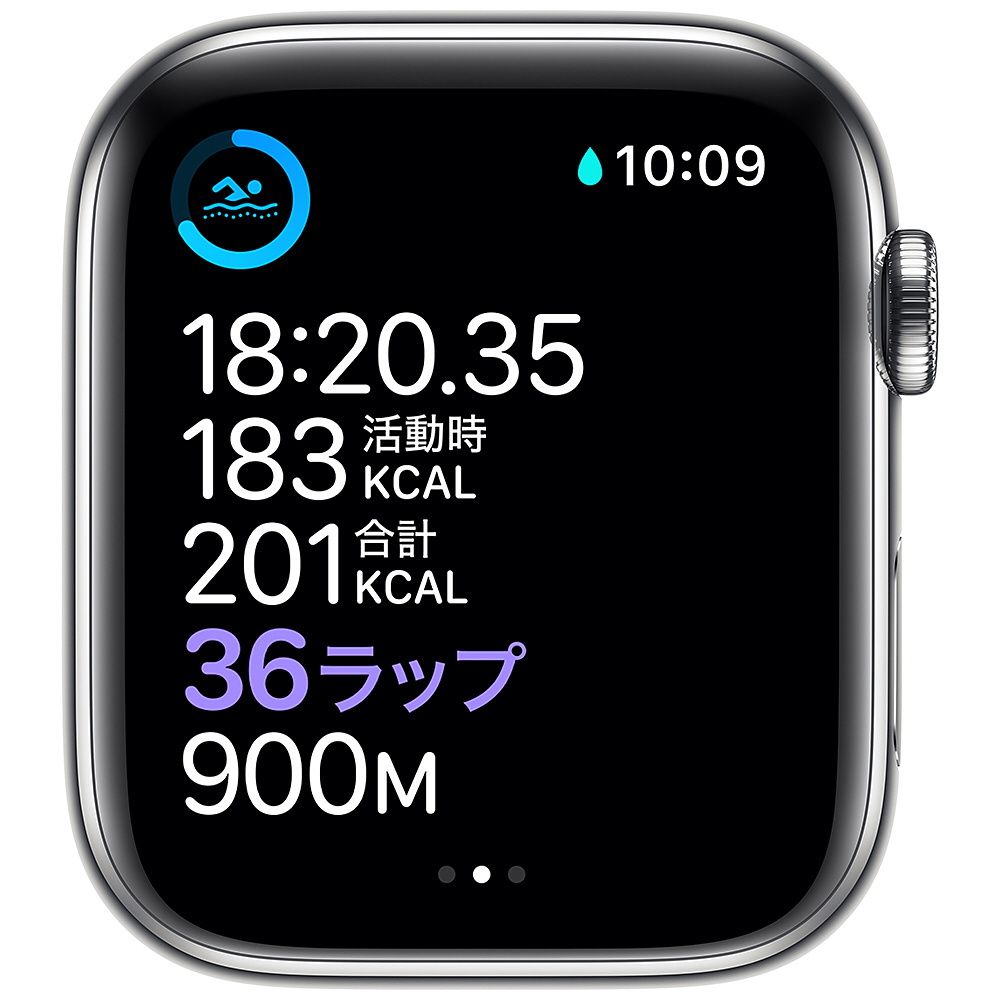 Apple Watch Series 6（GPS + Cellularモデル）- 44mmシルバーステンレススチールケースとシルバーミラネーゼループ