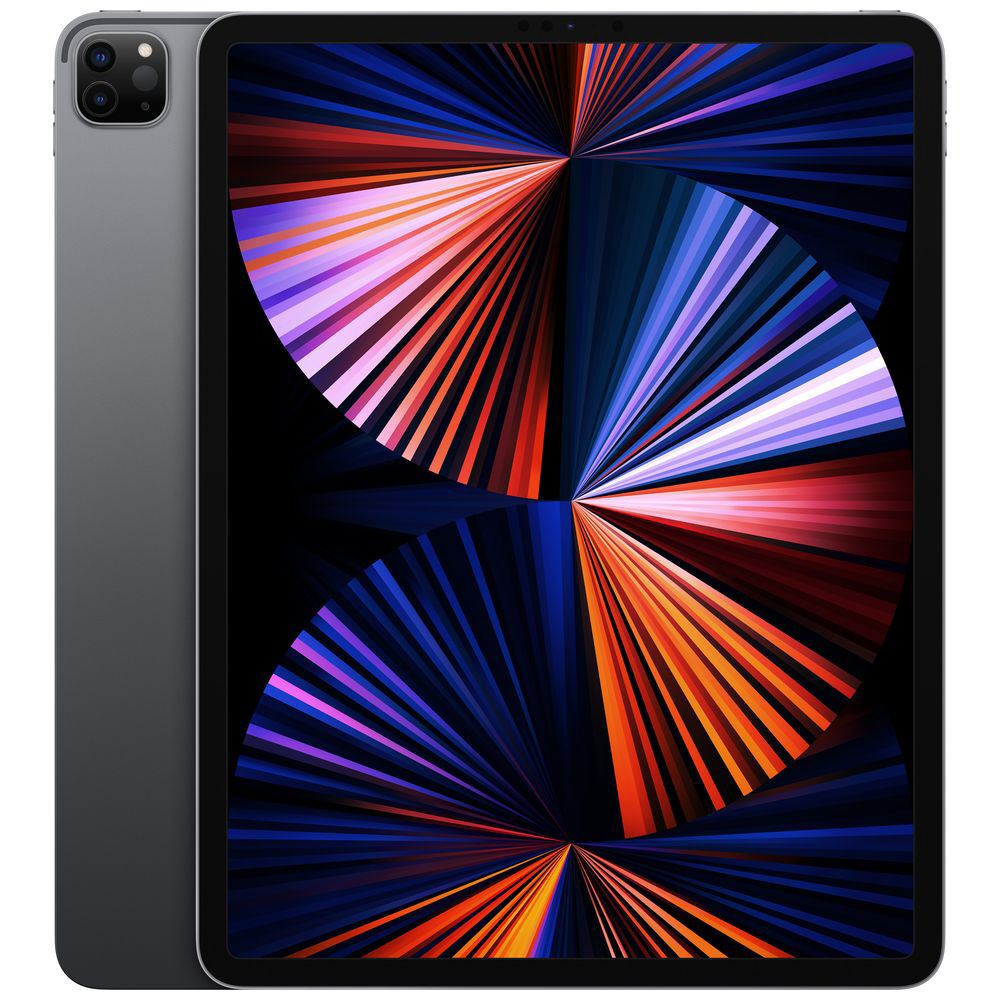 ジャンク品】iPad Pro 12.9インチ 第5世代 128GB-