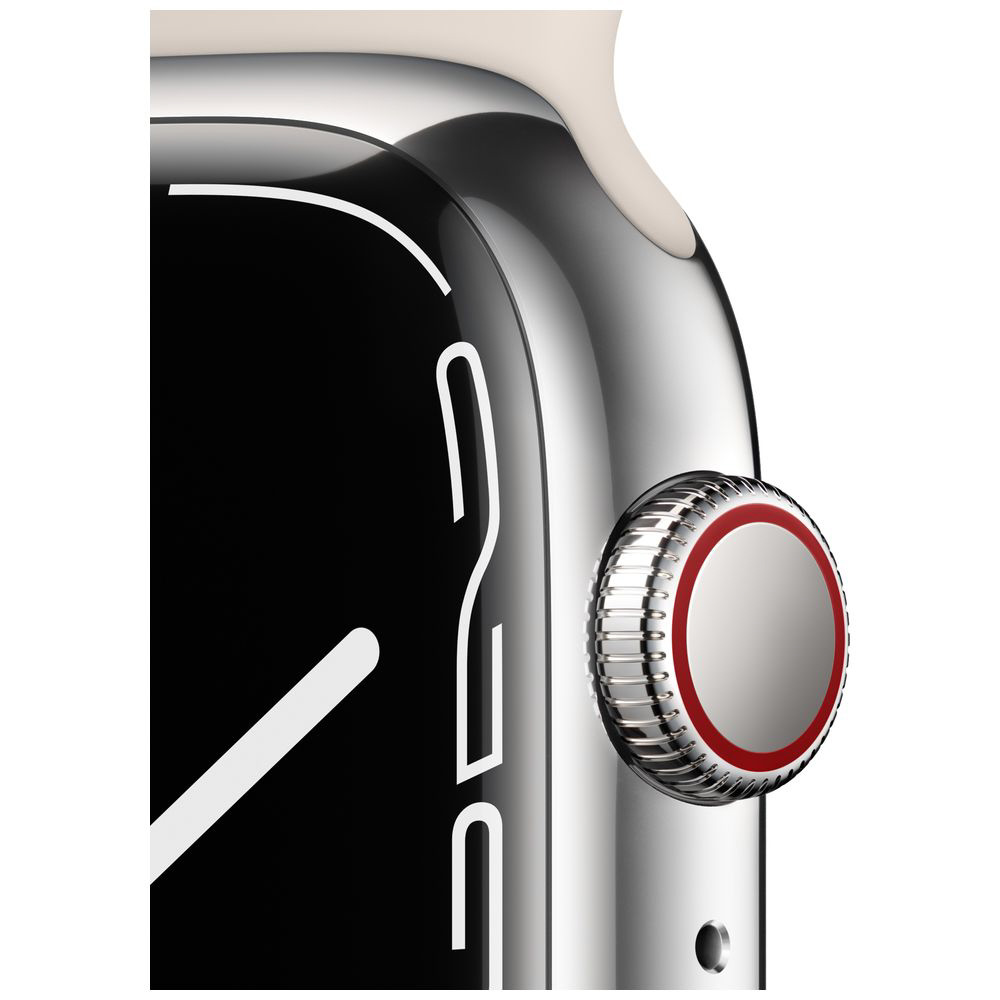 ストライプ デザイン/Striipe design Apple Watch Series 7 ステンレス