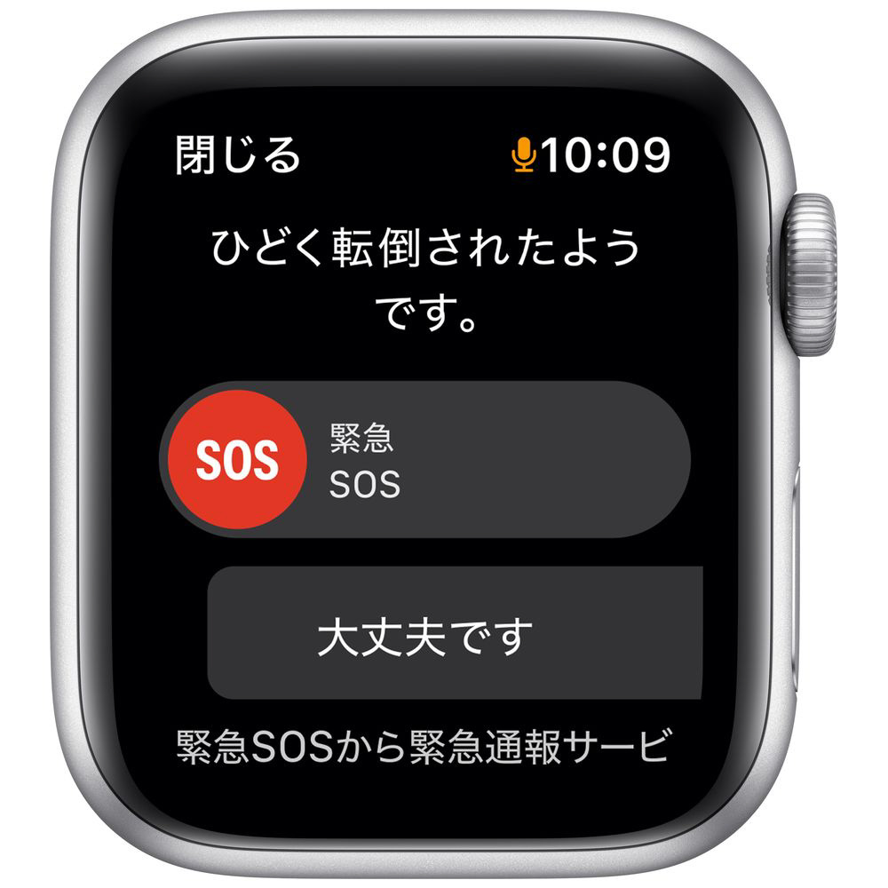 Apple Watch SE（GPSモデル）第1世代 40mmシルバーアルミニウムケース ...