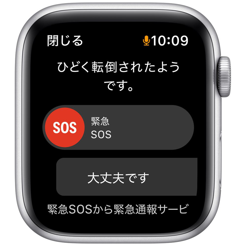 Apple Watch Nike SE（GPSモデル）第1世代 44mmシルバーアルミニウム