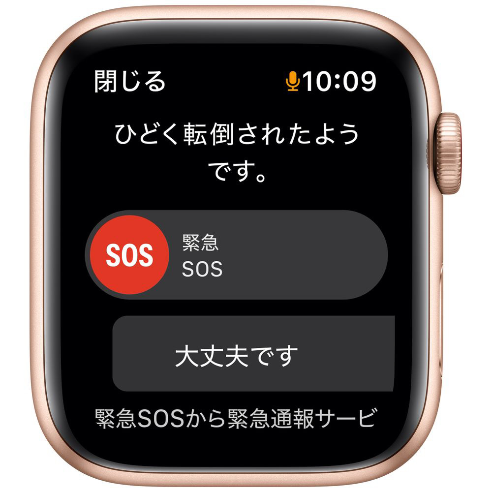 Apple Watch SE（GPS+Cellularモデル）第1世代 44mmゴールド ...