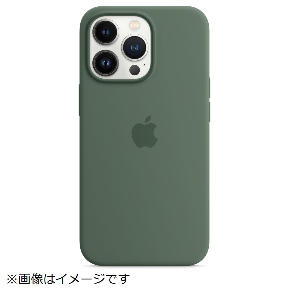 純正】MagSafe対応 iPhone 13 Pro シリコーンケース ユーカリ MN673FE/A｜の通販はソフマップ[sofmap]