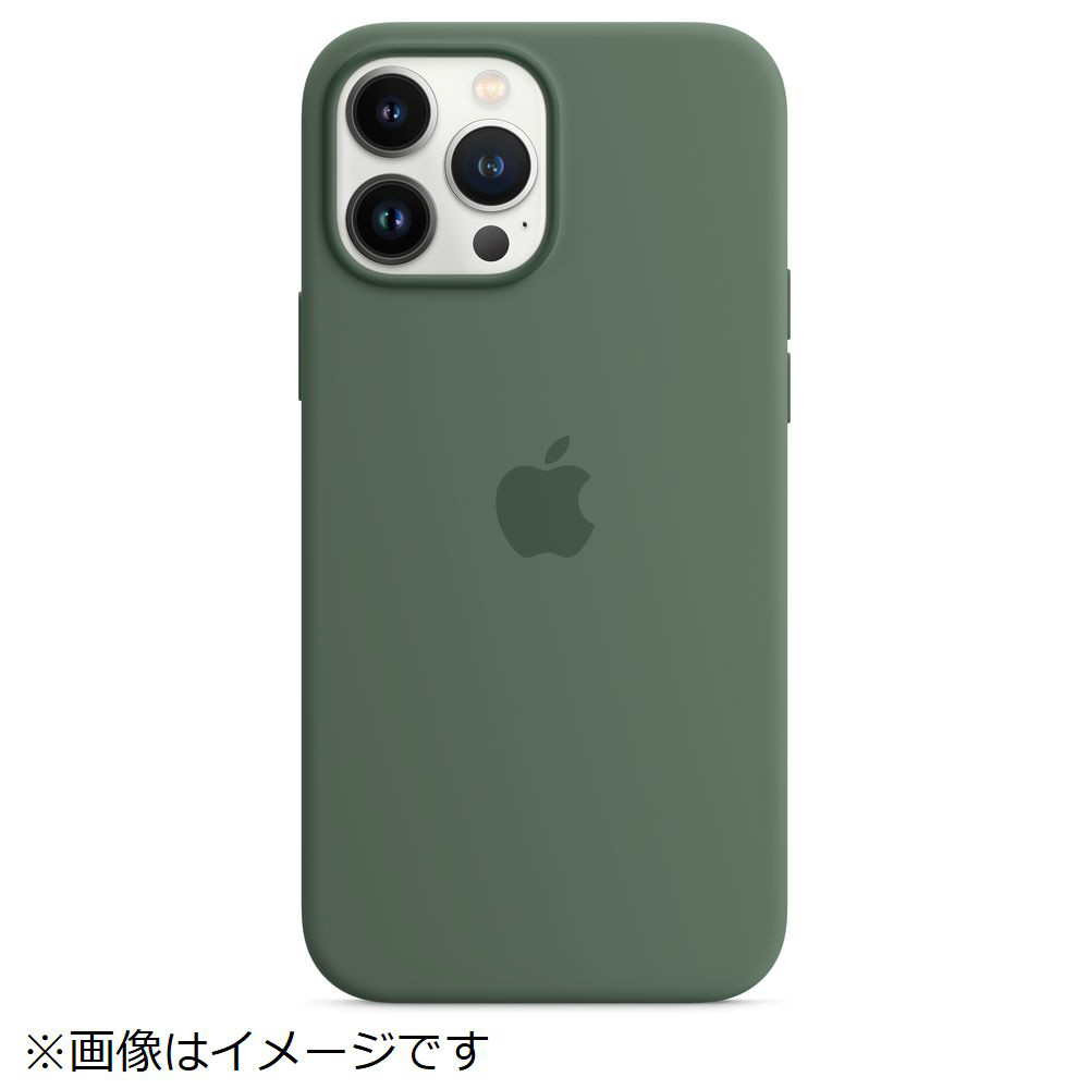 純正】MagSafe対応 iPhone 13 Pro Max シリコーンケース ユーカリ MN6C3FE/A｜の通販はソフマップ[sofmap]