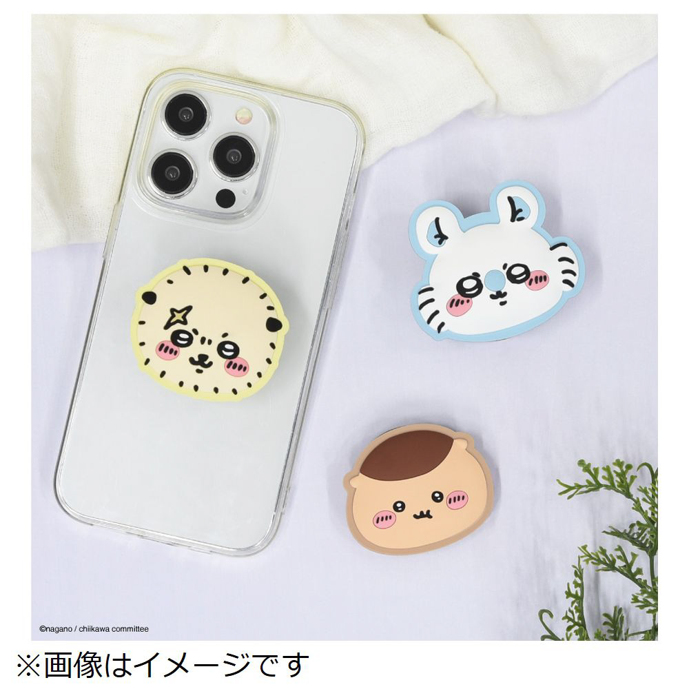 ダイカットソフトPOCOPOCO ちいかわ ラッコ CK-01E｜の通販は