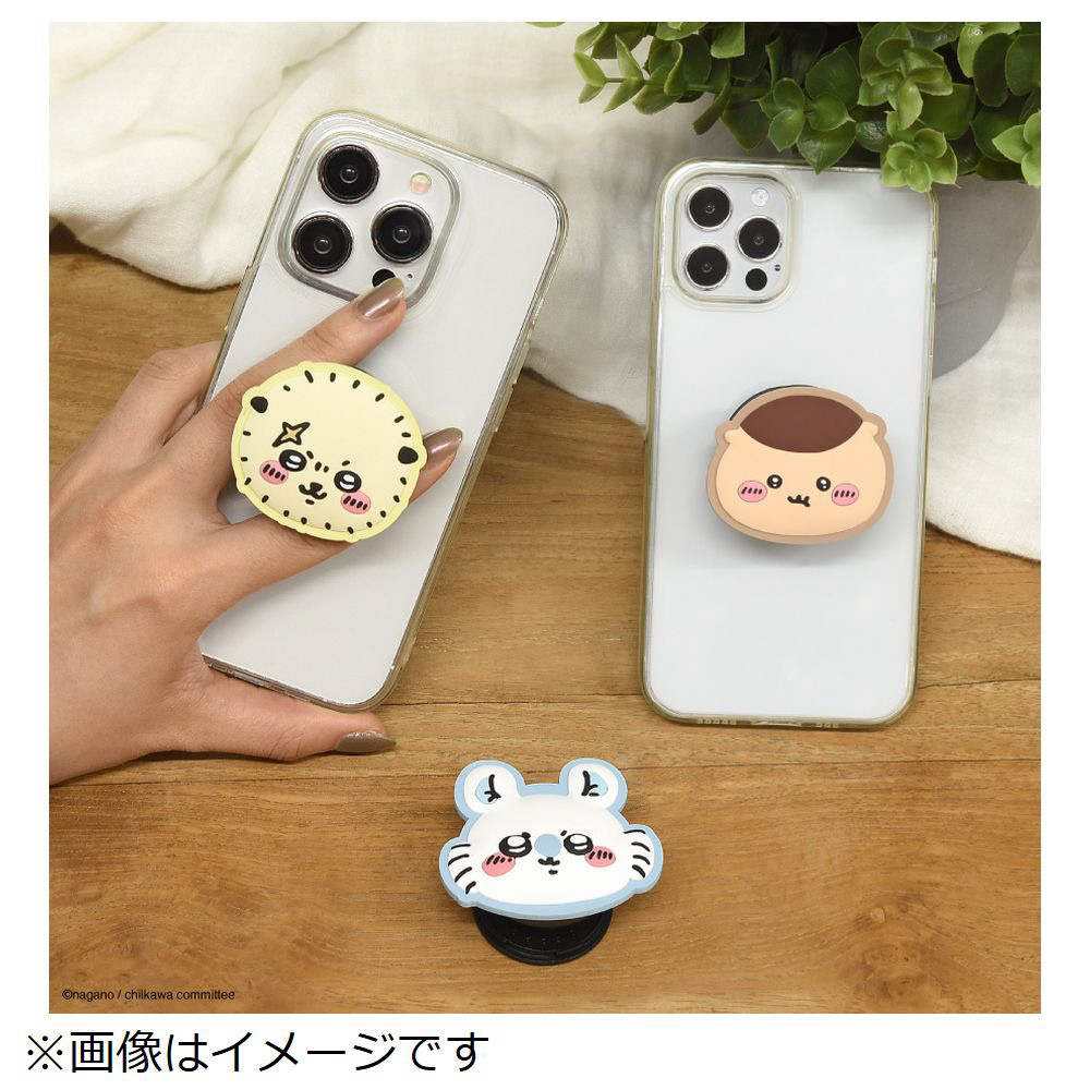 いち♡ちいさん専用 レック 激落ちポイポイ S-695（20個カット済） JSP3801 - アスクル
