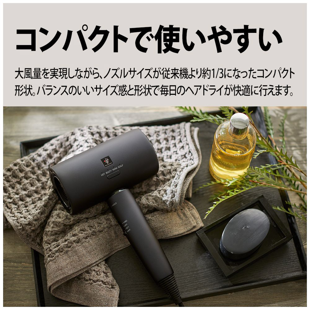 展示品〕 Plasmacluster Beauty/プラズマクラスタードライヤー IB