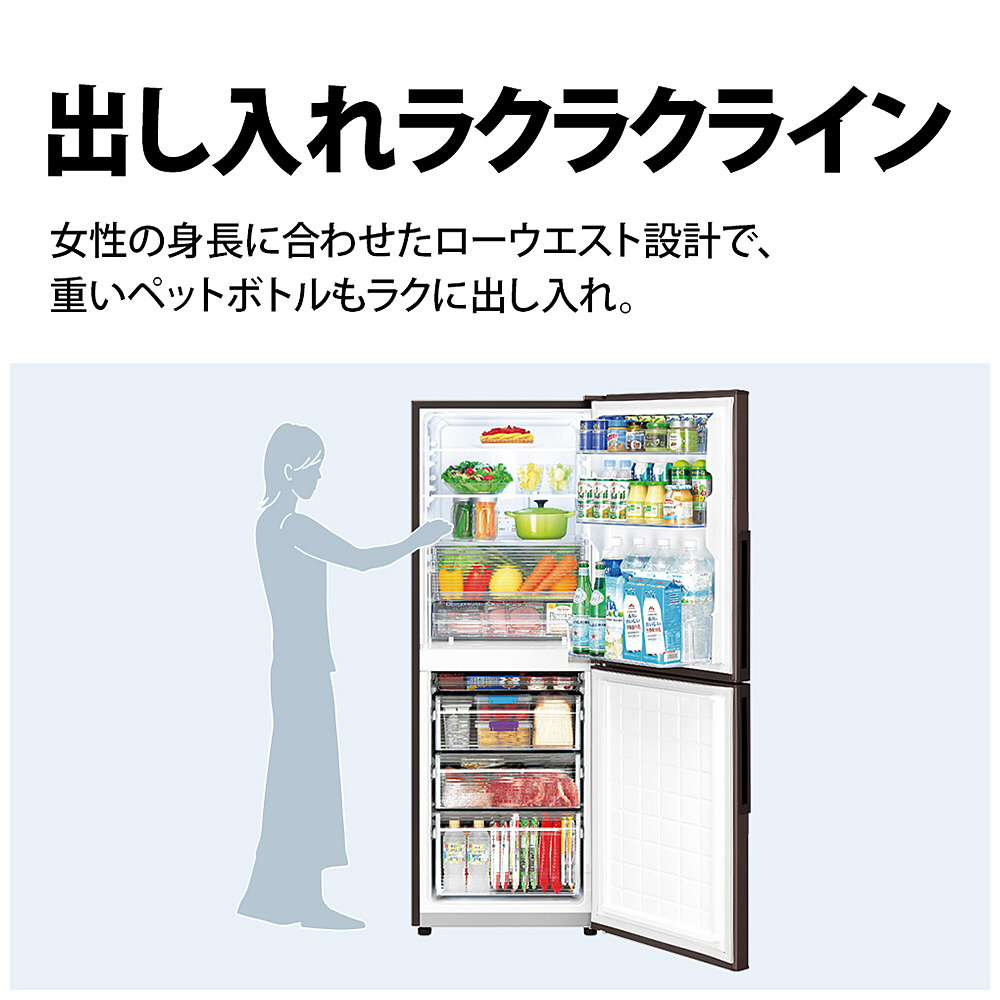 冷蔵庫　茶色 冷蔵庫 アコールブラウン SJ-PD28P-T [幅56cm /280L /2ドア /右開きタイプ /2024年] 冷蔵庫 アコールブラウン SJ-PD28P-T ［幅56cm /280L /2ドア /右開き