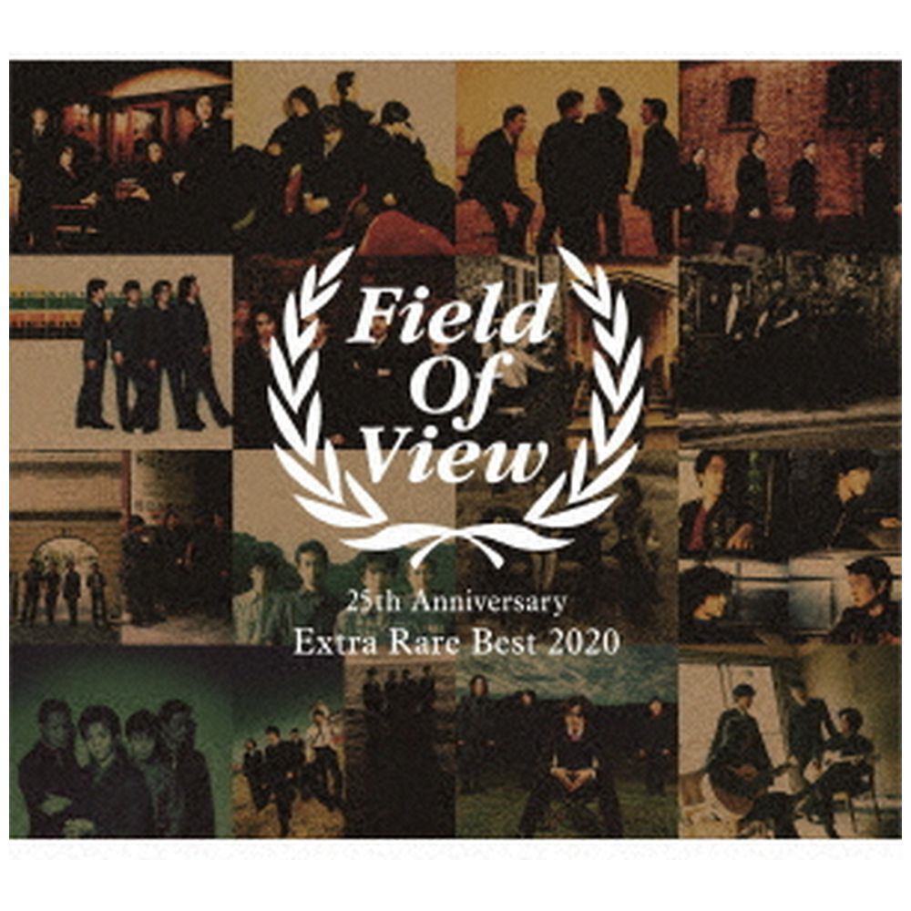Field Of View Field Of View 25th Anniversary Extra Rare Best の通販はソフマップ Sofmap