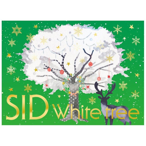 Vh/White tree 񐶎YB yCDz   mCDn