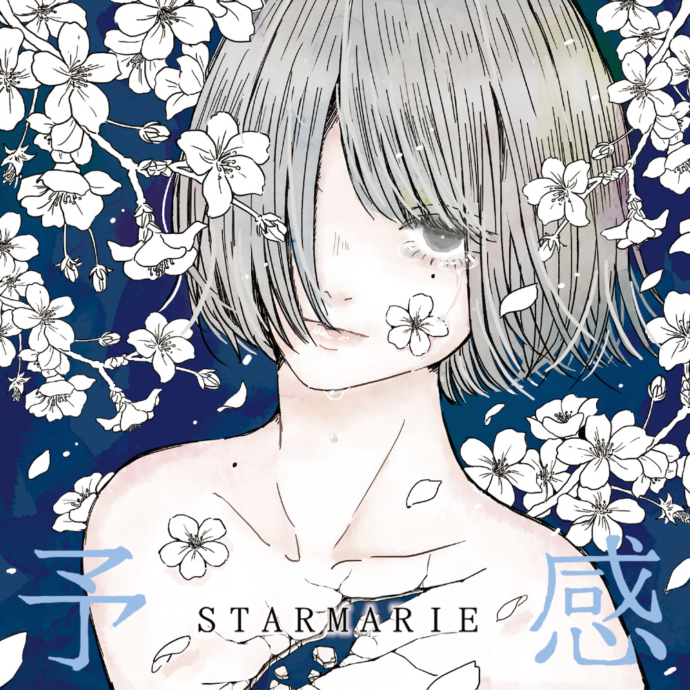 STARMARIE / 予感 CD｜の通販はソフマップ[sofmap]