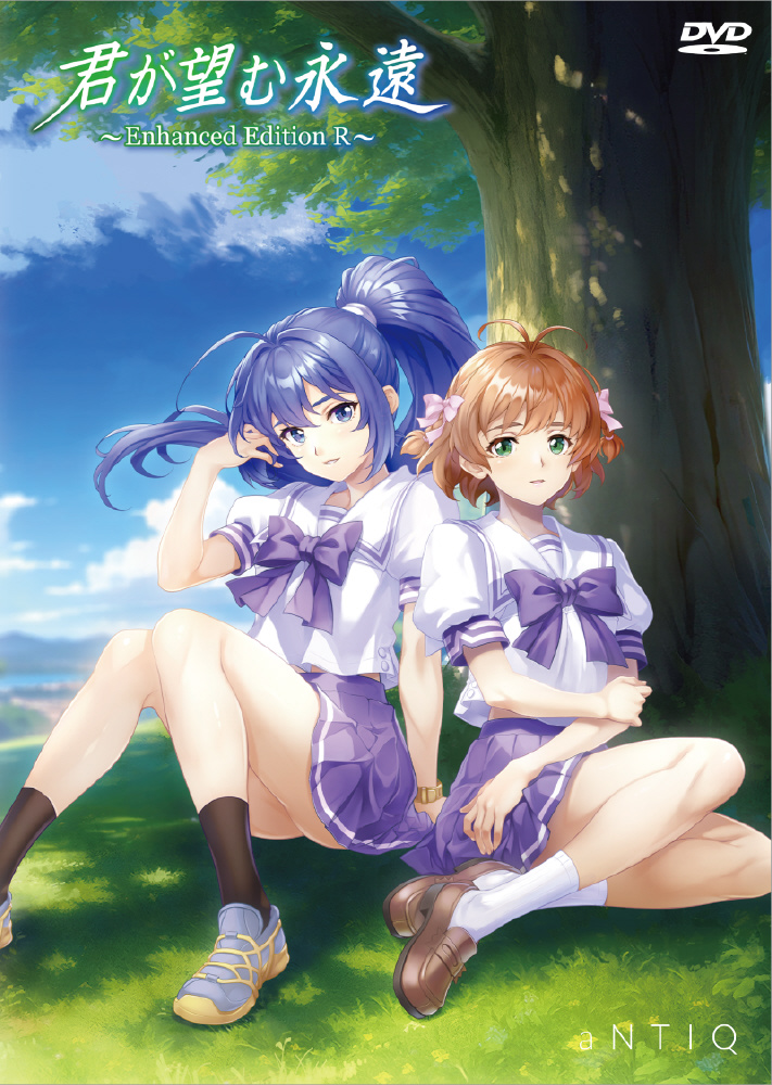 君が望む永遠 ～Enhanced Edition R～ 初回生産豪華版（涼宮遙