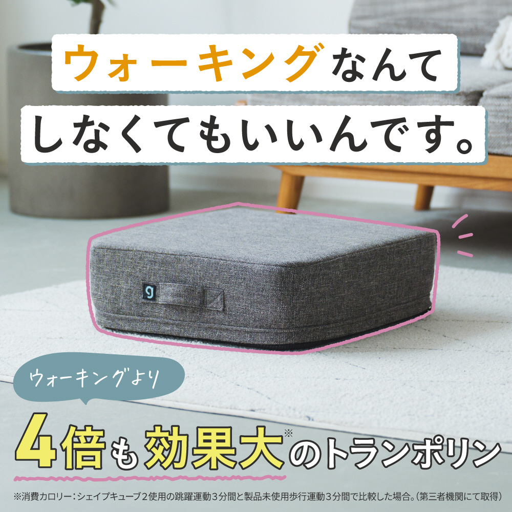 シェイプキューブ2 Shape Cube 2｜の通販はソフマップ[sofmap]