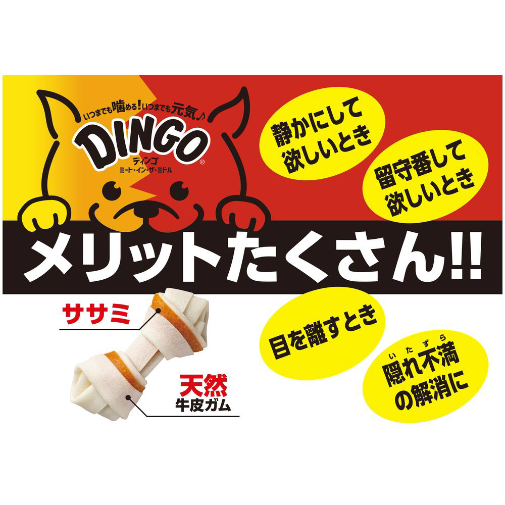 DINGO（ディンゴ）ミート・イン・ザ・ミドル シニア オーラルボーン 22