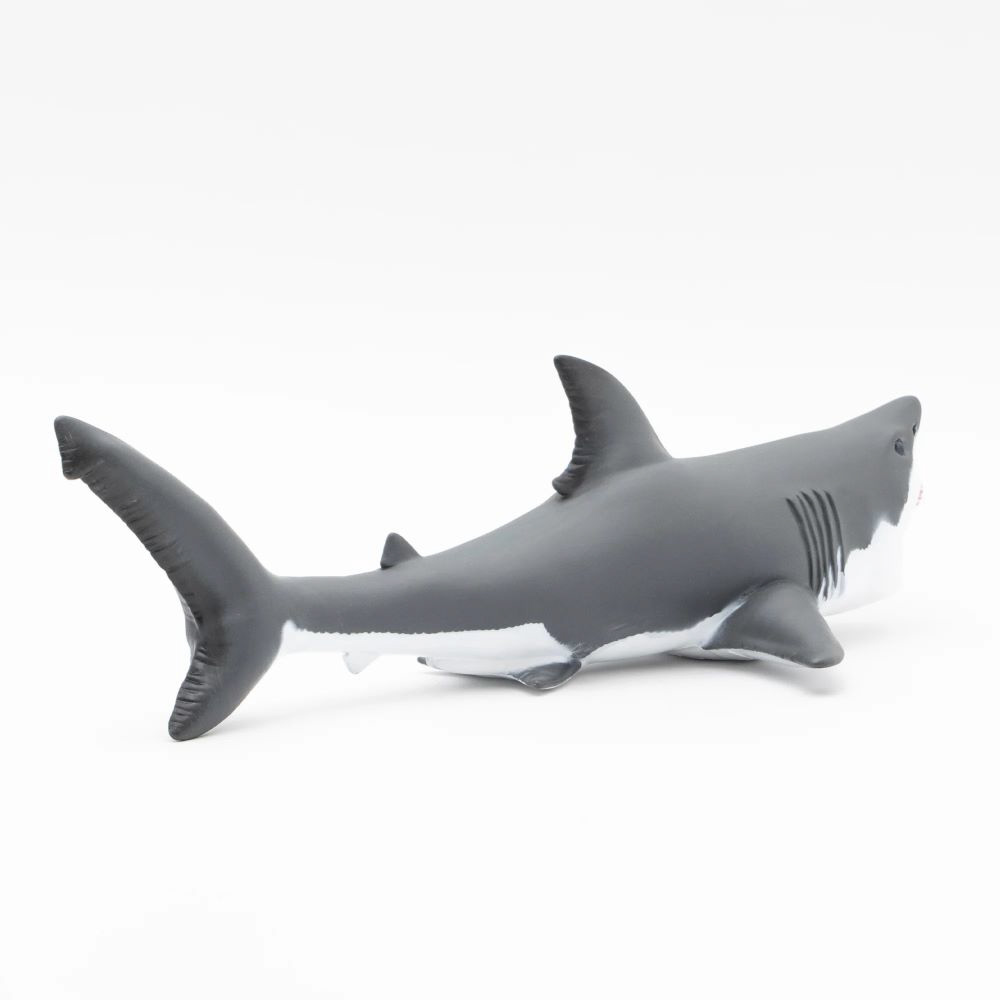 2024得価★超限定品 最後の1点　超ド級！　全長50cm ホホジロザメ（オス）great white shark / サメ　海洋生物　恐竜　化石　JAWS　ジョーズ　映画 生き物