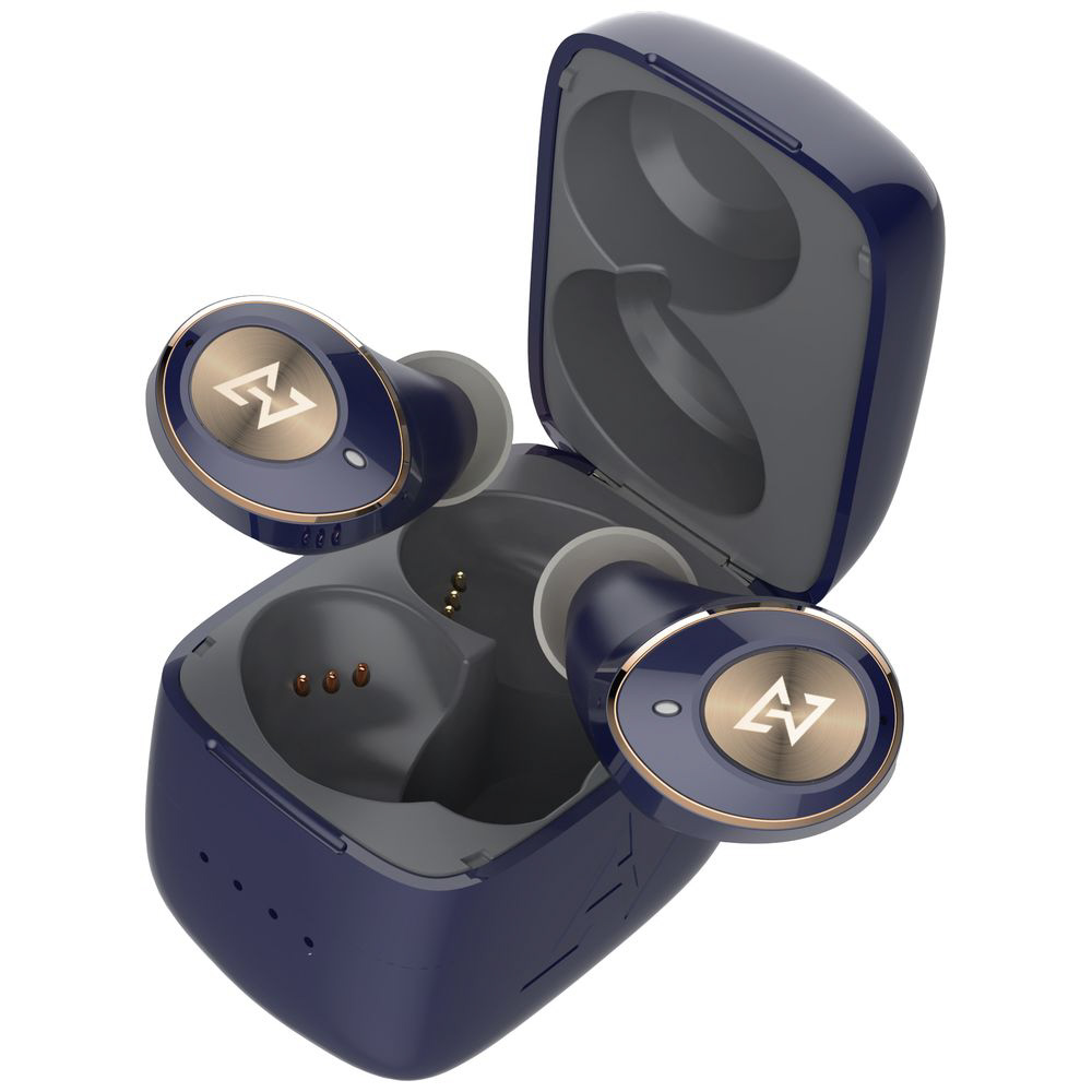 AVIOT トゥルーワイヤレスイヤホン ネイビー TE-D01gv-NV イヤホン アビオット ワイヤレス Bluetooth AVIOT TE-D01gv-NV