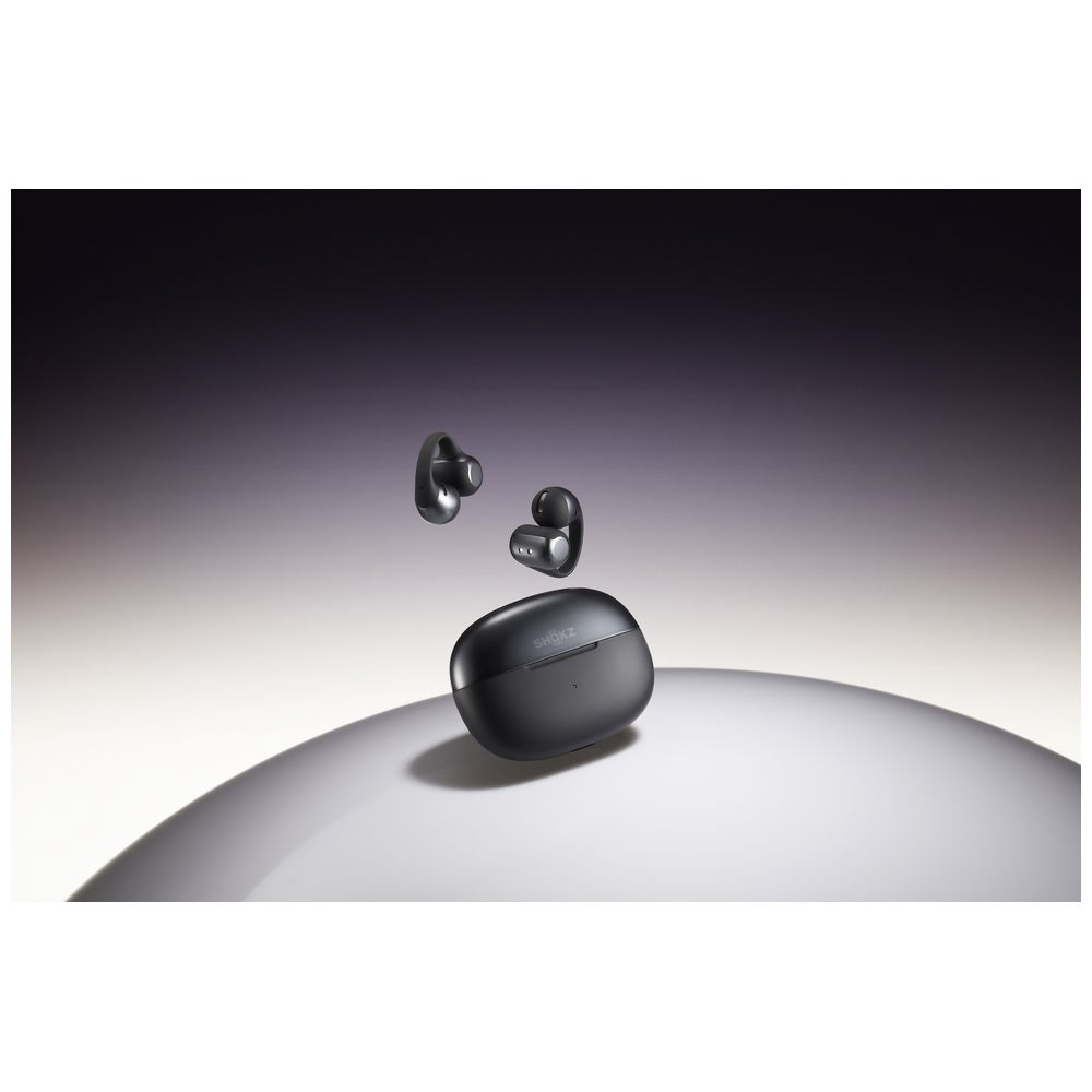 SLBS StrayKids イヤホン STRAY KIDS X SLBS SAMSUNG Galaxy Buds2 Pro Stray Kids