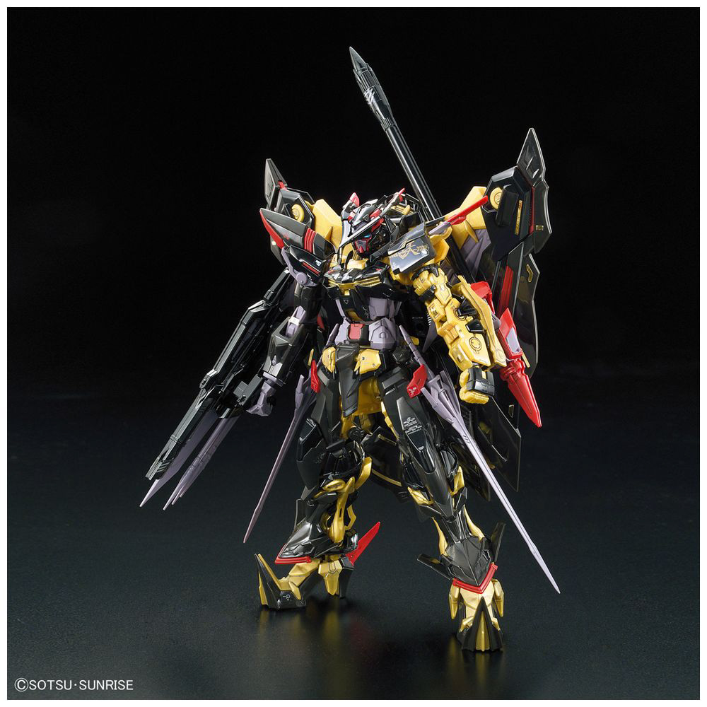 RG 1/144 ガンダムアストレイ ゴールドフレーム 天ミナ【機動戦士ガンダムSEED ASTRAY】