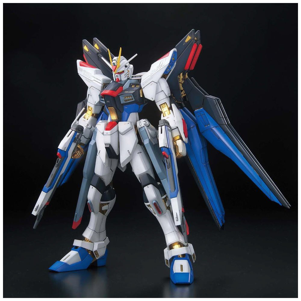 新品即決 MG ストライクフリーダムガンダムフルバーストモード