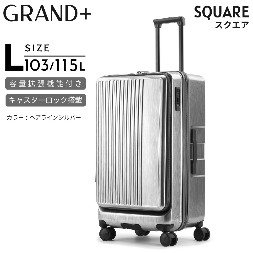 シルバー TSAロック キャリーケース 4輪 キャリーケース スーツケース キャリーバッグ TSAロック