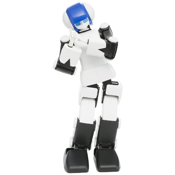 【在庫限り】 DMM.make ROBOTS [プリメイドAI　世界最高水準 ダンスコミュニケーションロボット]  RBHM0000000445731927