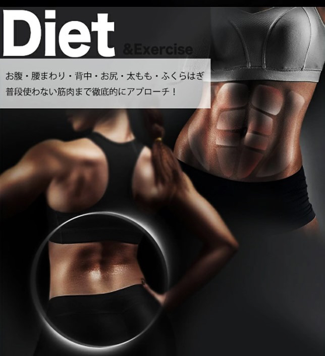 3D骨盤ツイスター(40×31×18cm/ダークグレー)PSTW-1206｜の通販は