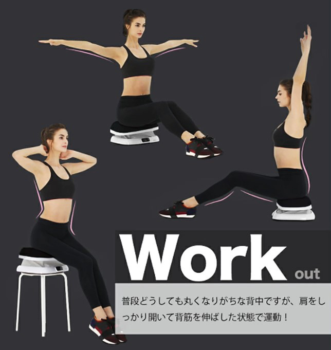 3D骨盤ツイスター(40×31×18cm/ダークグレー)PSTW-1206｜の通販は 
