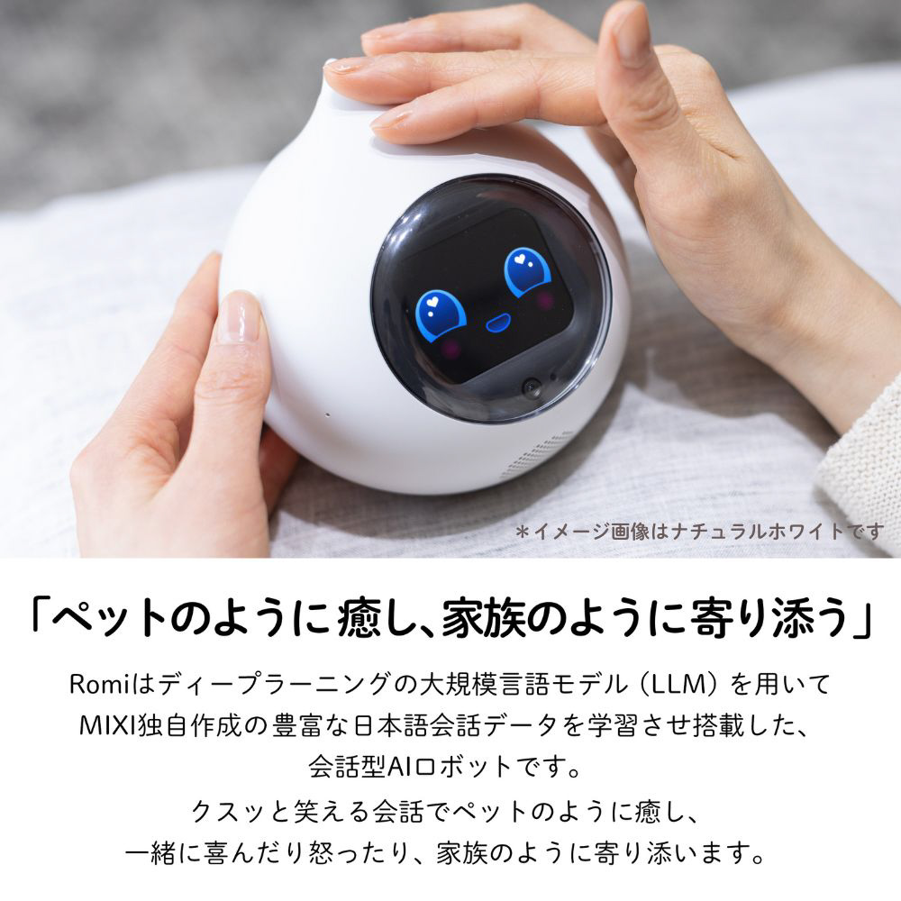 会話AIロボットRomi(ロミィ) Lacatanモデル ムーングレー ROMI