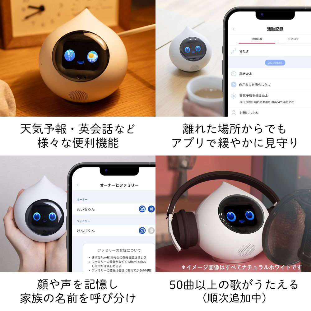 会話AIロボットRomi(ロミィ) Lacatanモデル ムーングレー ROMI