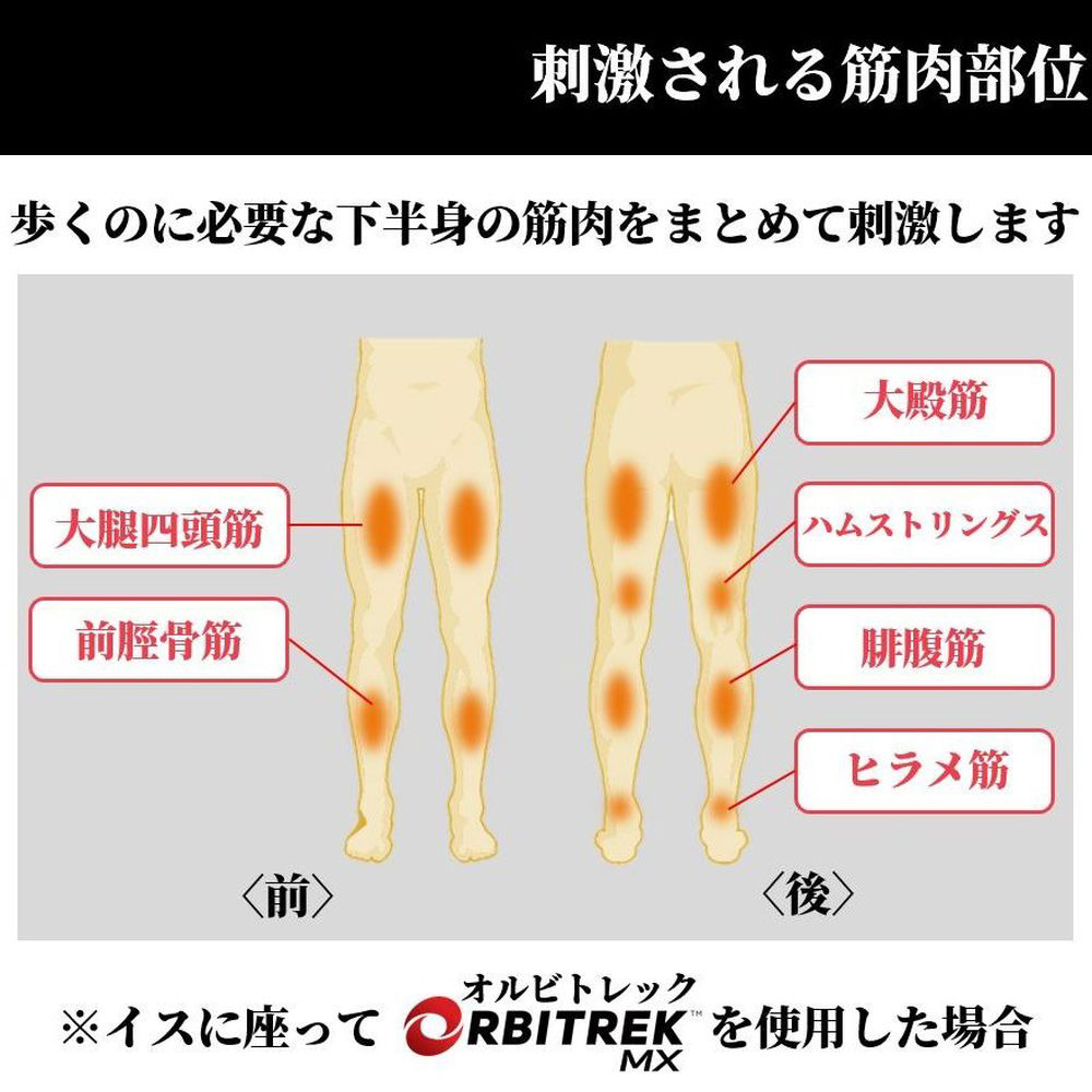 オルビトレックMX ブラック OR11｜の通販はソフマップ[sofmap]