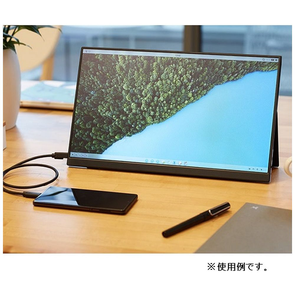 ユニーク プロメテウス モニター 15.6インチ UQ-PM15FHDNT-