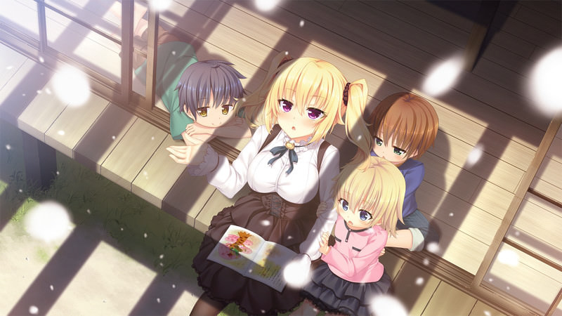 美品 ノラと皇女と野良猫ハート HD ＆2セット Switch - メルカリ
