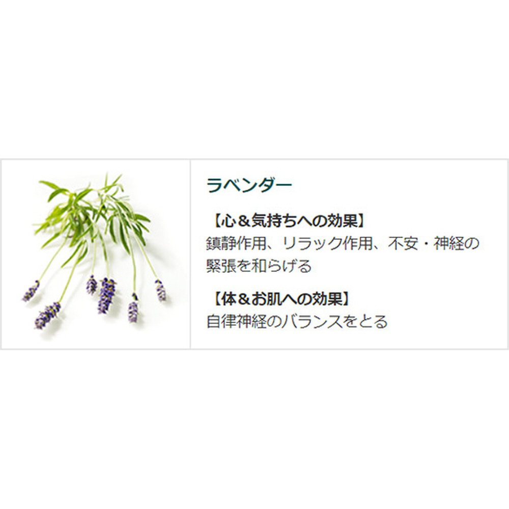 KNEIPP(クナイプ)】 バスソルト ラベンダーの香り 850g〔入浴剤〕｜の