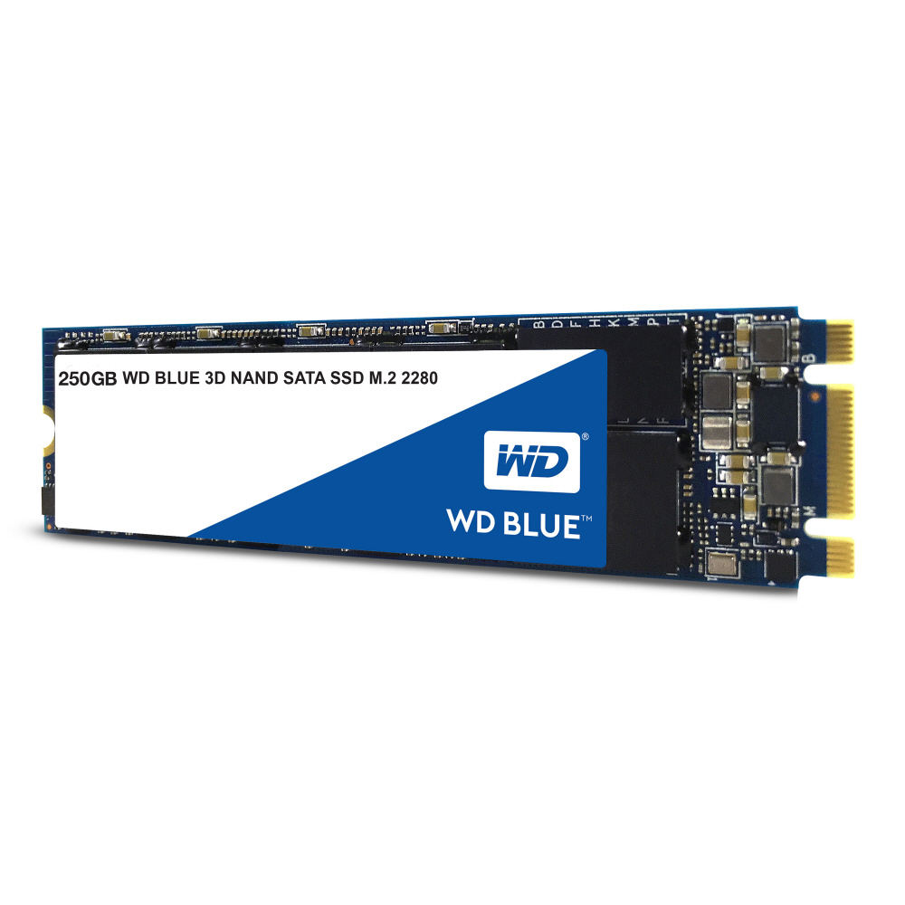 拡張カード WD Blue 3D NAND SATA SSD 250GB M.2 内蔵SSD SATA接続 WD BLUE 3D NAND SATA SSD(M.2 2280)(バルク品