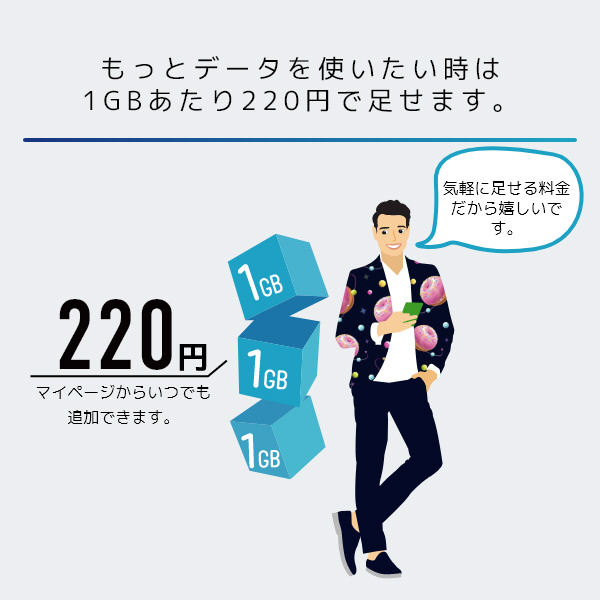 2枚セット 日本通信SIM 合理的プラン スターターパック NT-ST-P 日本通信SIM スターターパック ボーナスストア対象ストア 申込