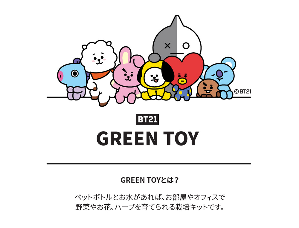 BTS bt21 CHIMMY ルームシューズ 22-24cm - 靴