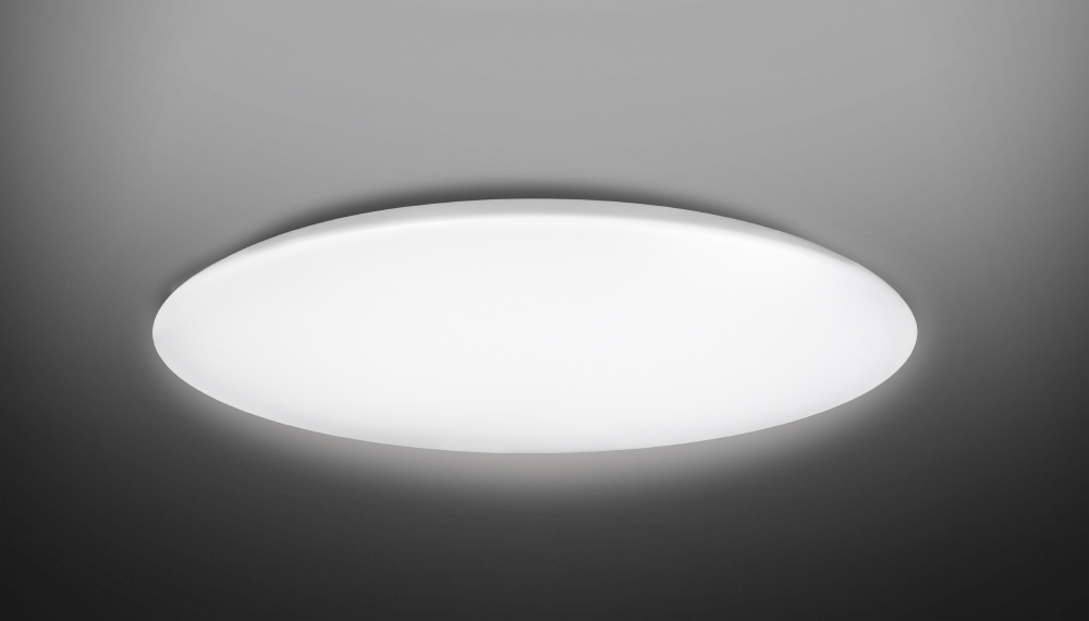 LEDシーリングライト NLEH12010B-LC ［12畳 /昼光色～電球色 /リモコン