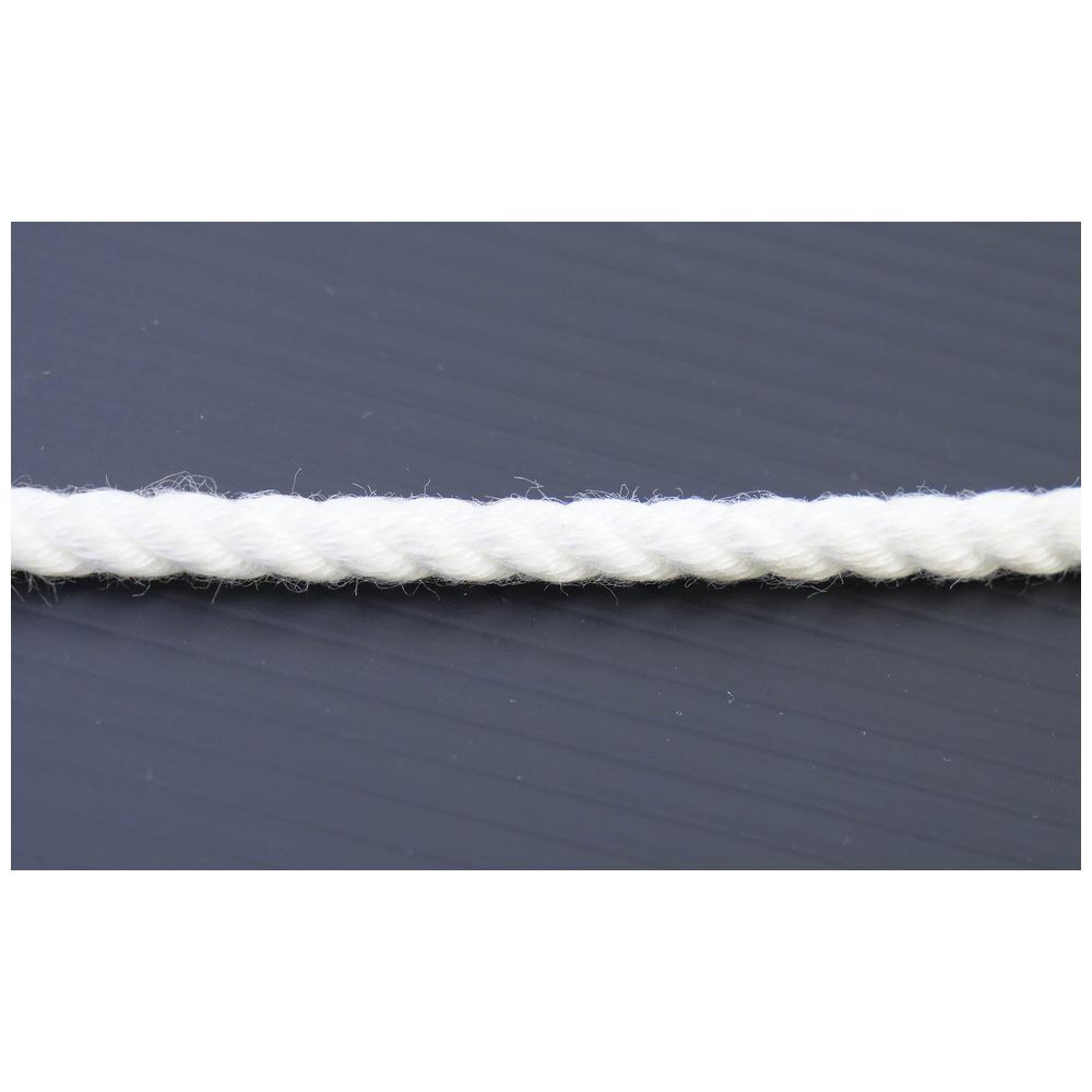 一番人気物 クレモナSロープ 径１８ｍｍ 長さ２００メートル巻き