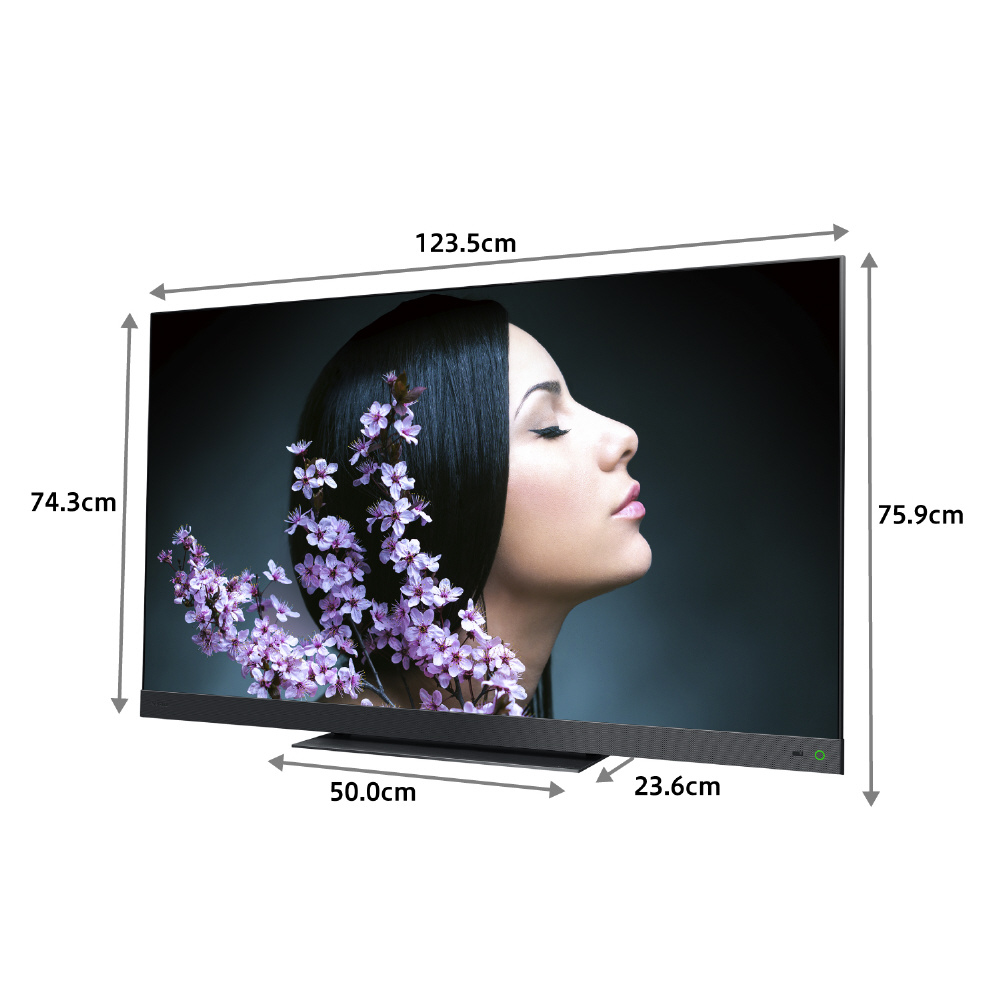 液晶テレビ REGZA(レグザ) 55Z740XS ［55V型 /4K対応 /BS・CS 4K 